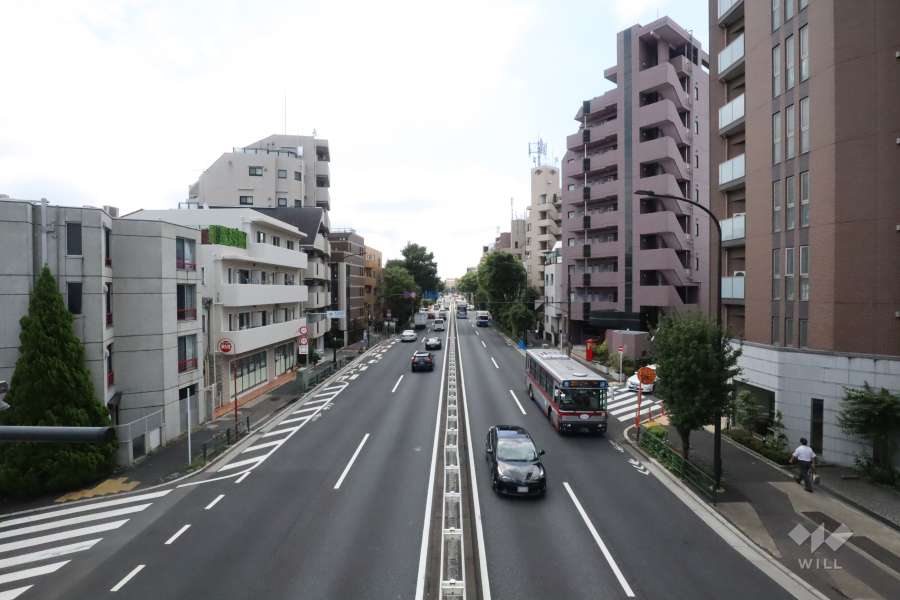 敷地南西側の前面道路(北西側から)