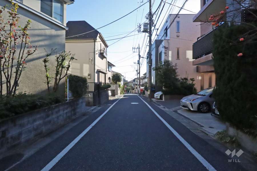 敷地東側の前面道路(北側から)