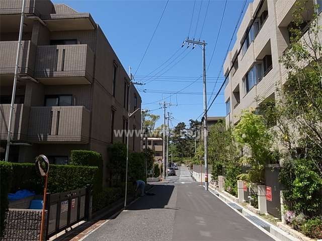 敷地北側の前面道路。周辺は夙川に近い緑豊かで閑静な住宅地です。