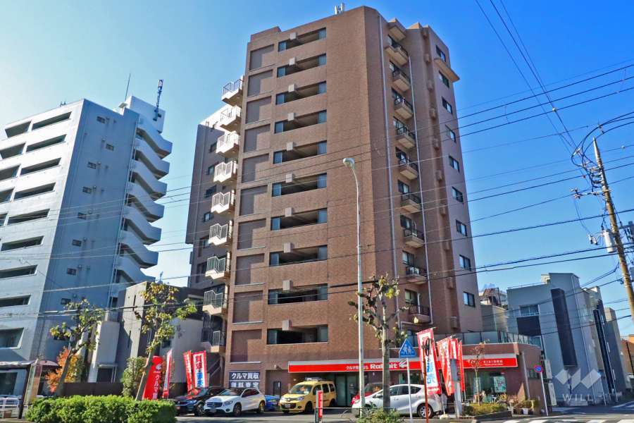 グランイーグル梅屋敷の外観（北東側から）