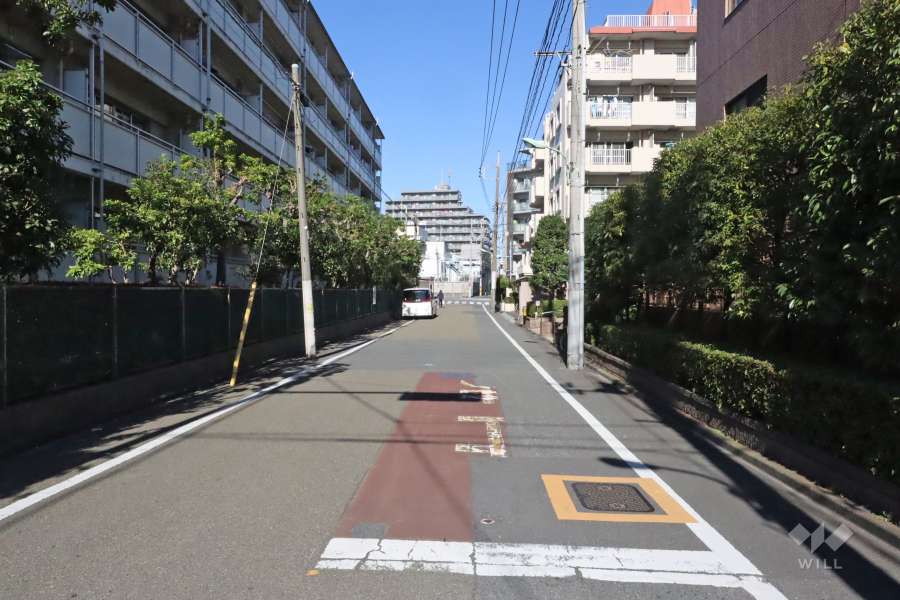 敷地西側の前面道路(南側から)