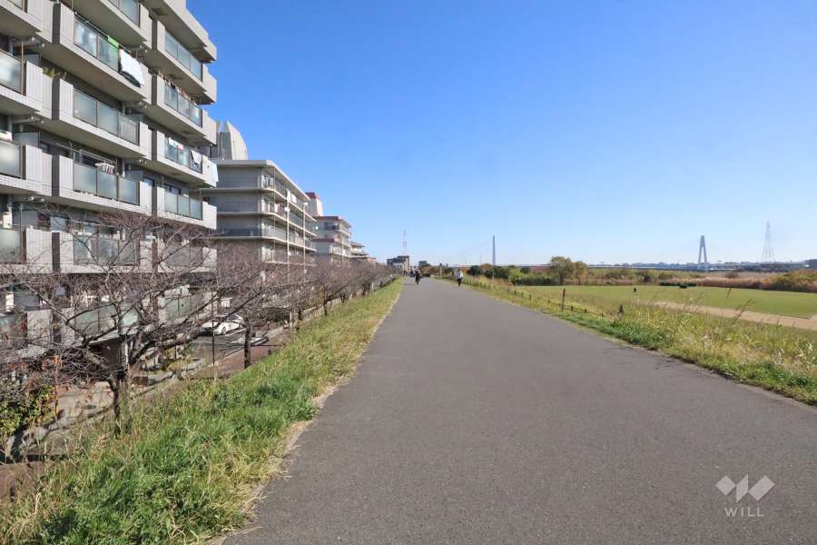 敷地南側の前面道路(西側から)