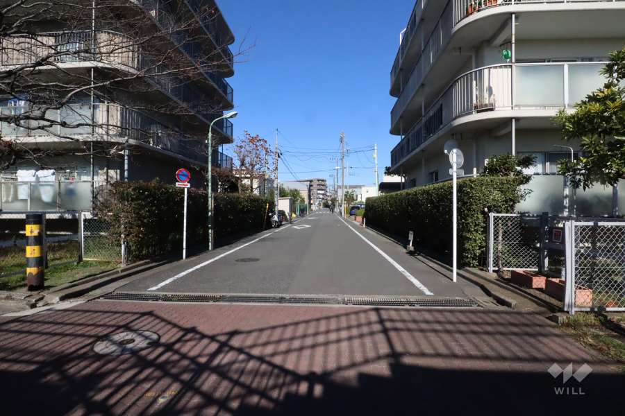 敷地西側の前面道路(南側から)