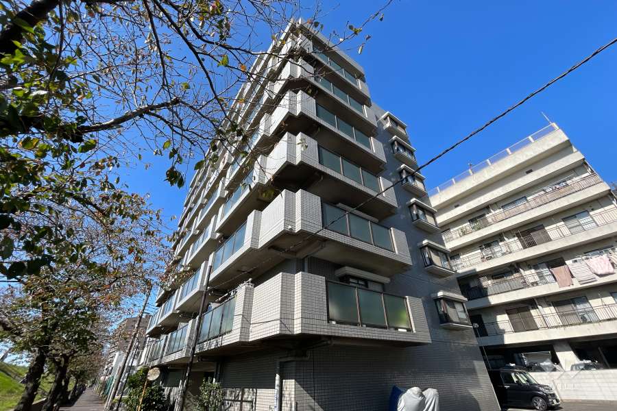 エンゼルハイム多摩リバーサイド第3の外観（南東側から）