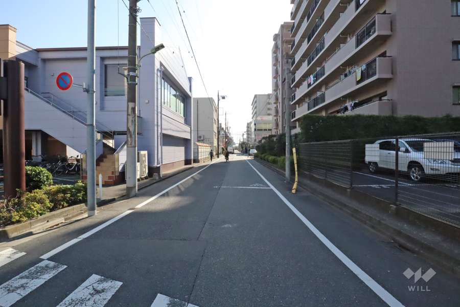 敷地東側の前面道路（北側から）