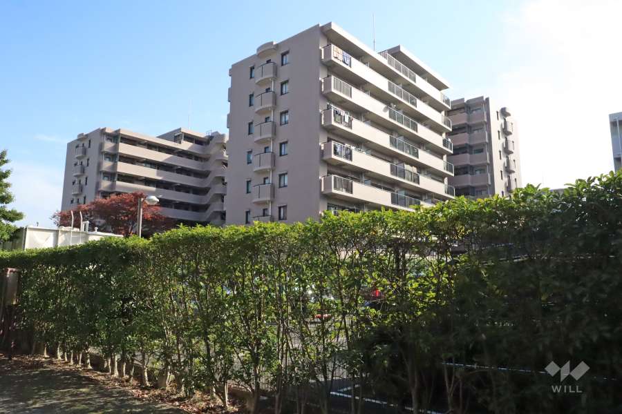 アルカサル多摩川の外観（北西側から）