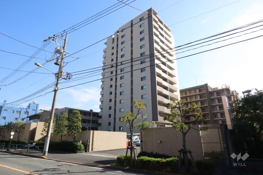 イニシア多摩川の外観（北西側から）