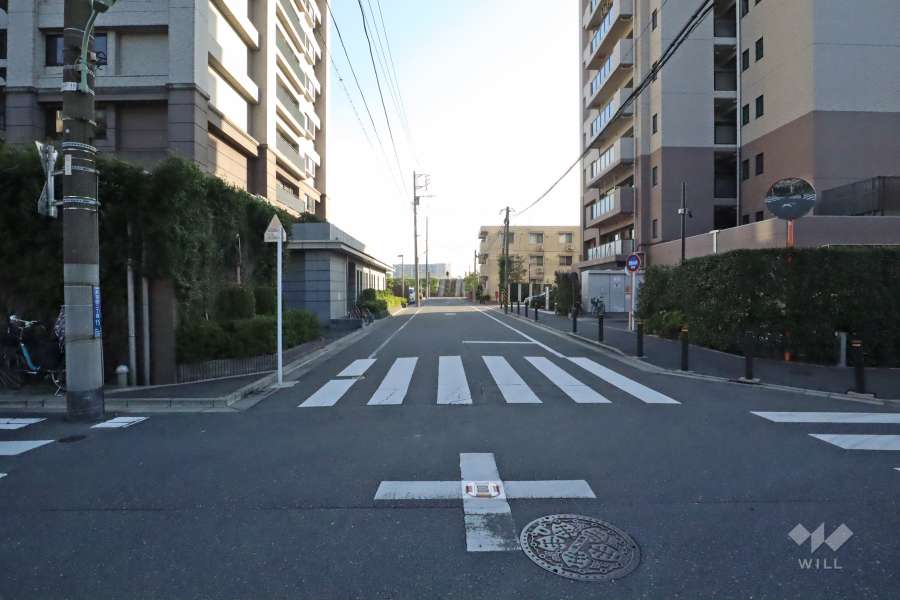 敷地東側の前面道路（北側から）