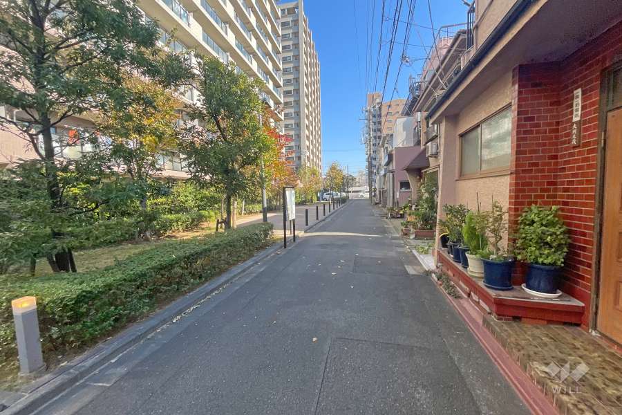 敷地南側の前面道路（西側から）