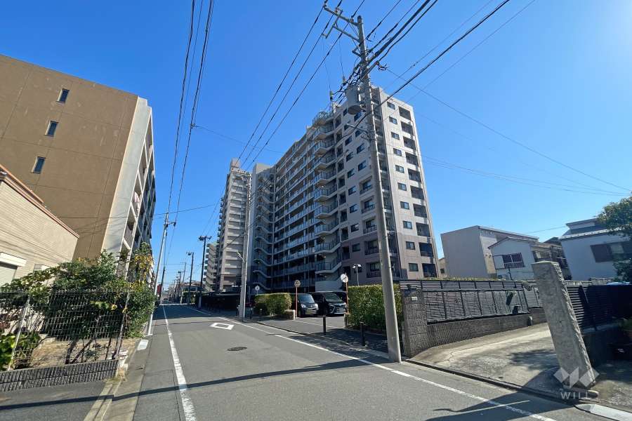 グランイーグル多摩川スカイガーデンの外観（北西側から）