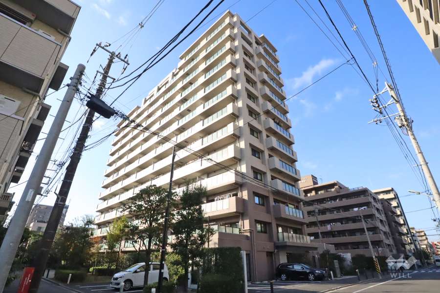 グランイーグル多摩川スカイガーデンの外観（南東側から）