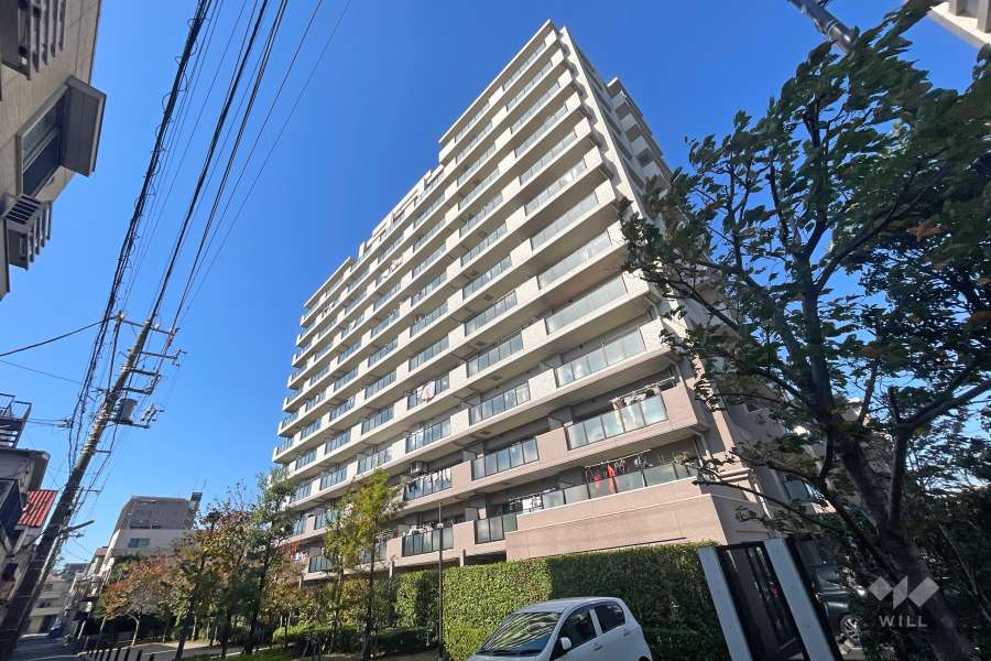 グランイーグル多摩川スカイガーデンの外観（南東側から）