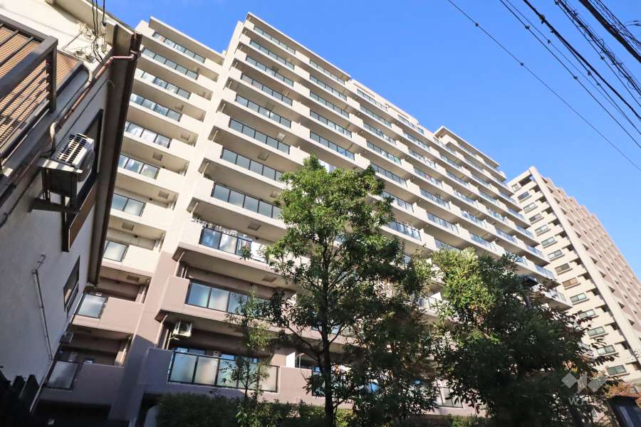 グランイーグル多摩川スカイガーデンの外観（南西側から）