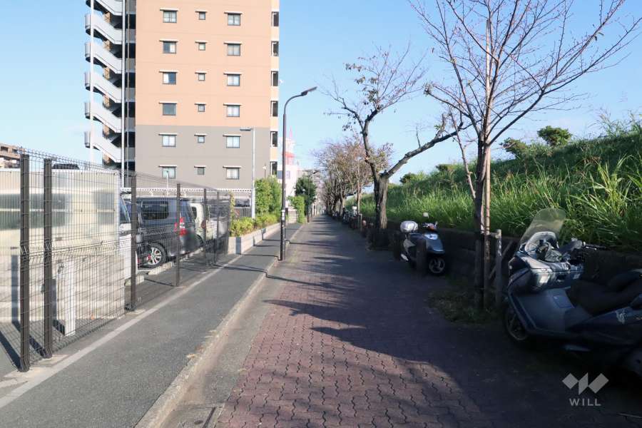 敷地南側の前面道路(西側から)