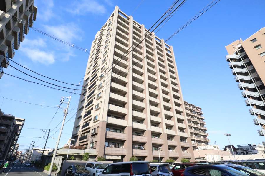 グランイーグル多摩川スカイビューの外観(南西側)