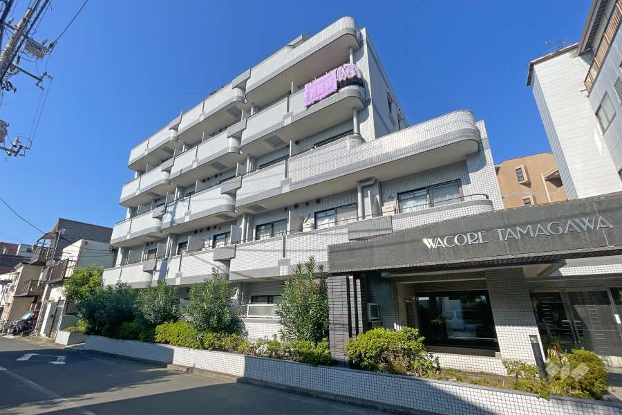 ワコーレ多摩川の外観（南東側から）