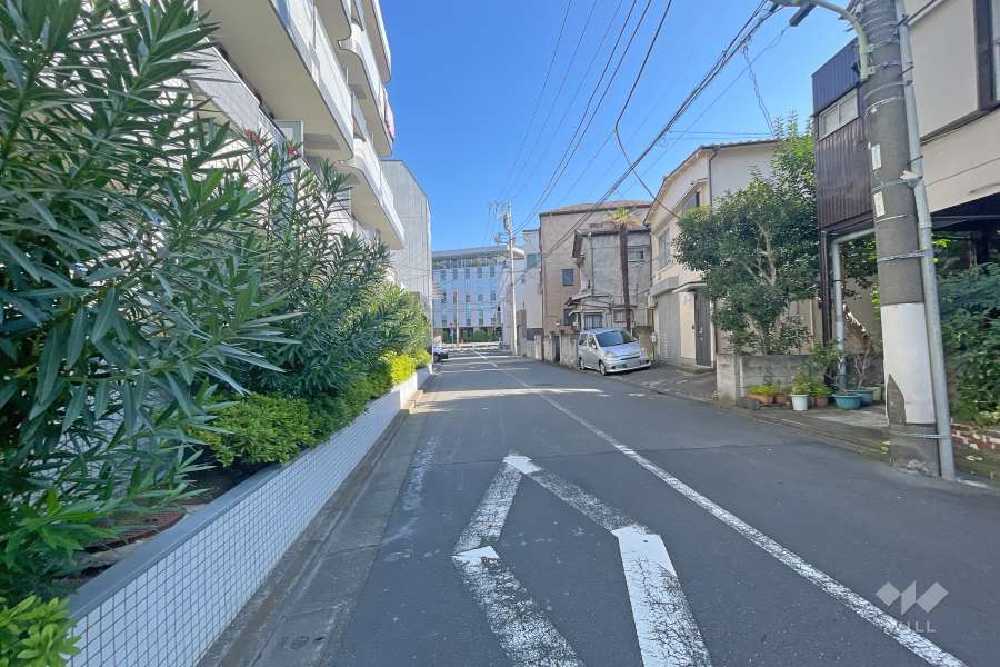 敷地南東側の前面道路（南西側から）
