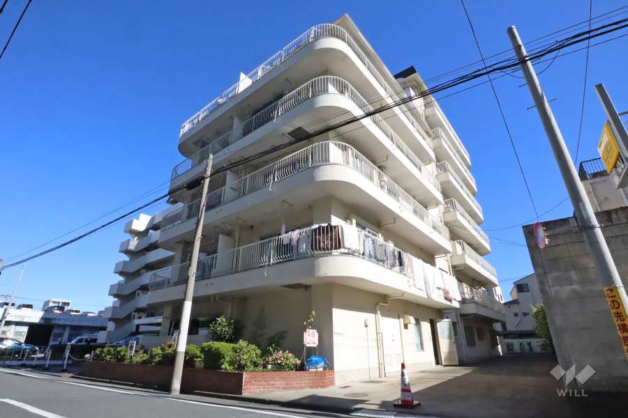 ニュー矢口フラワーマンションの外観(南西側から)