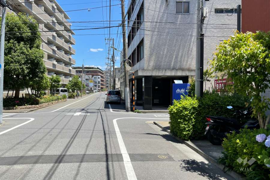 敷地北側の前面道路（西側から）