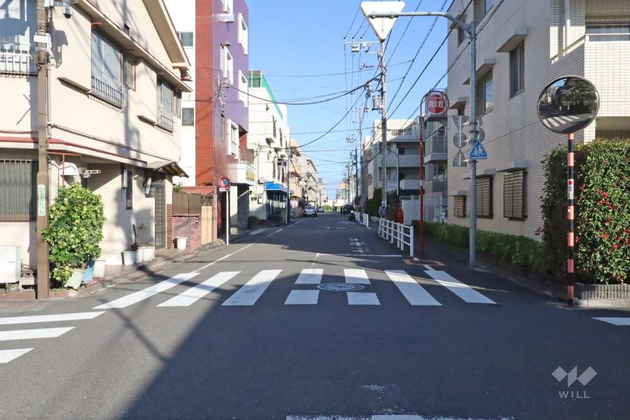 敷地北側の前面道路（西側から）