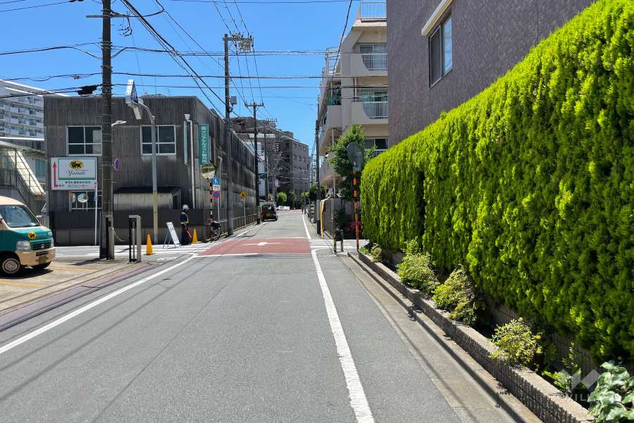 敷地の東側前面道路（北側から）