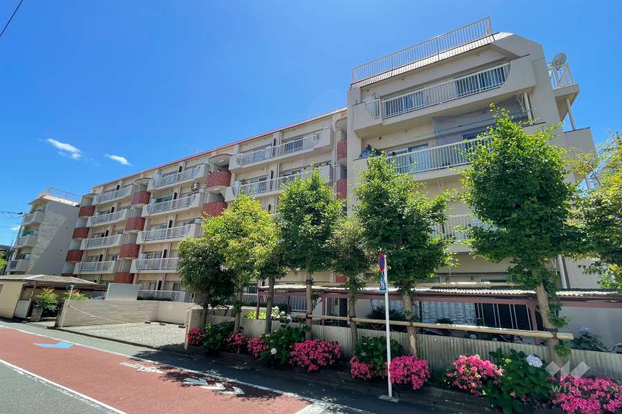 矢口マイコーポの外観（北西側から）