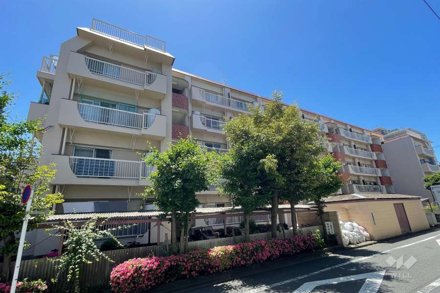 矢口マイコーポの外観（北東側から）