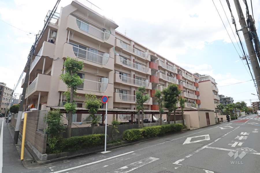 矢口マイコーポの外観（北東側から）