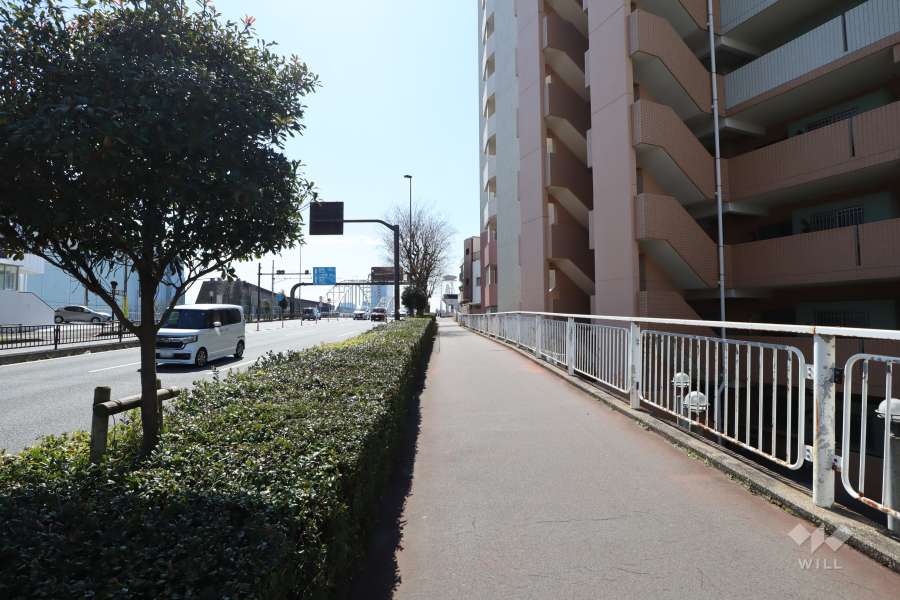 敷地の東側前面道路（北側から）