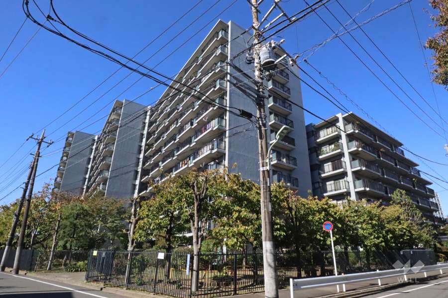 多摩川ハウスの外観（南東側から）