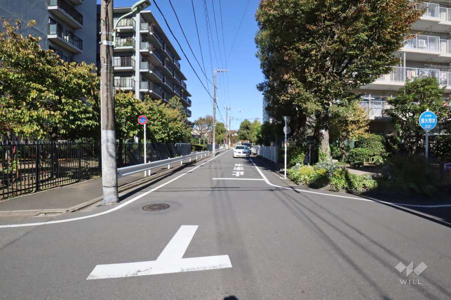 敷地西側の前面道路(南側から)
