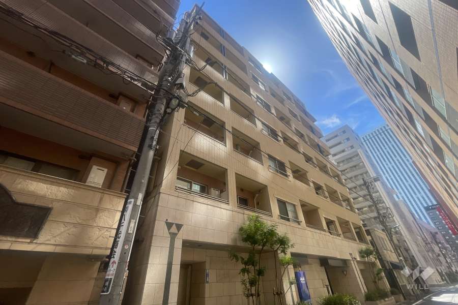 パレステュディオ銀座二丁目の外観（北西側から）