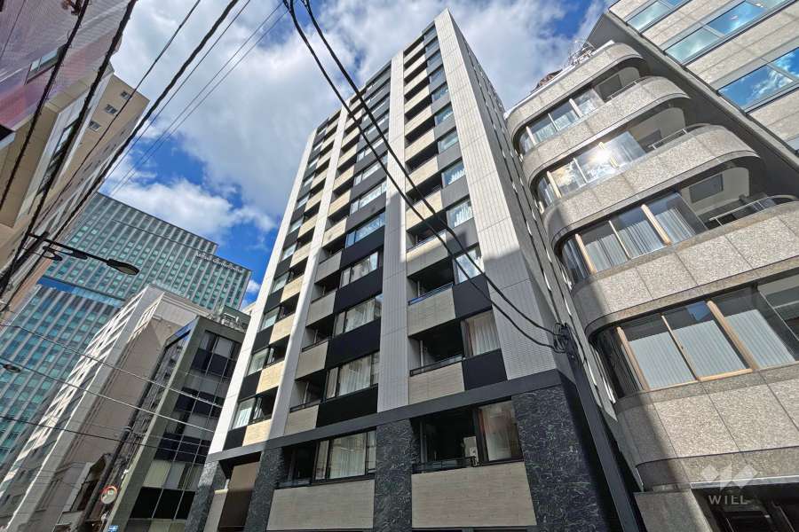 ピアース銀座８丁目の外観（南側から）