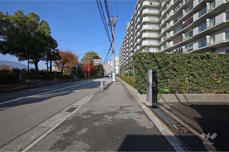 敷地西側の前面道路（南側から）