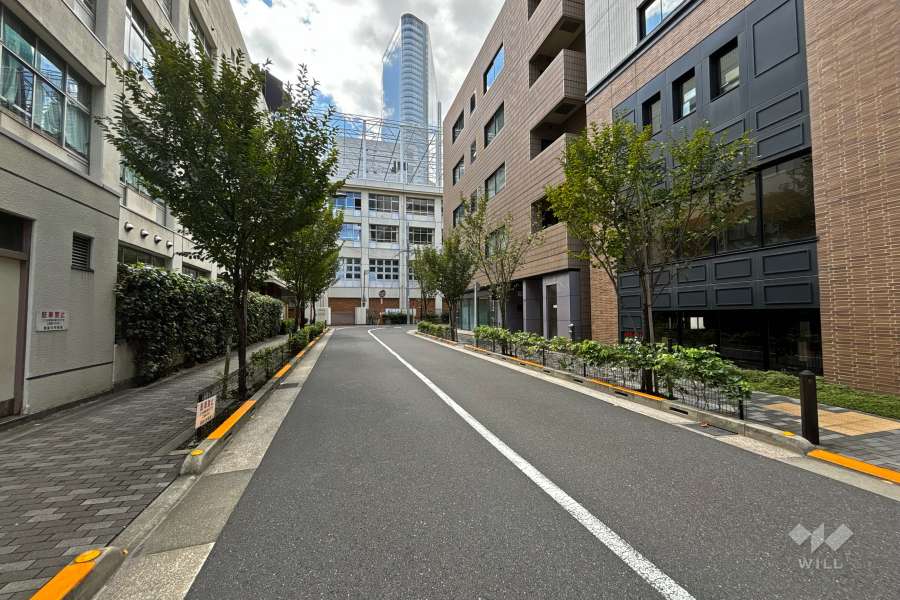 敷地南東側の前面道路（北東側から）