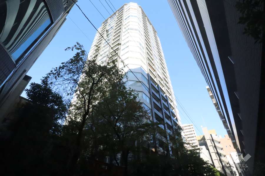 銀座タワーの外観(南側から)