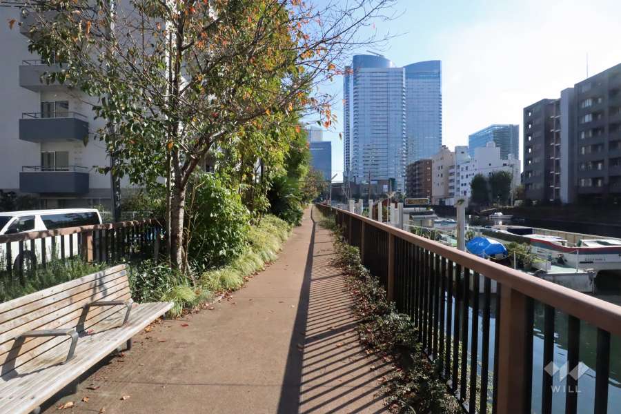 敷地南西側の前面道路(北西側から)