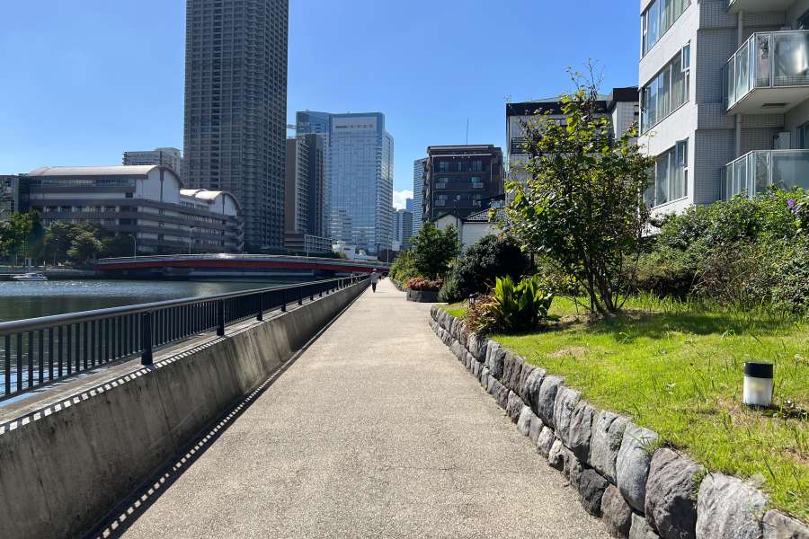 敷地の南東側前面道路（北東側から）