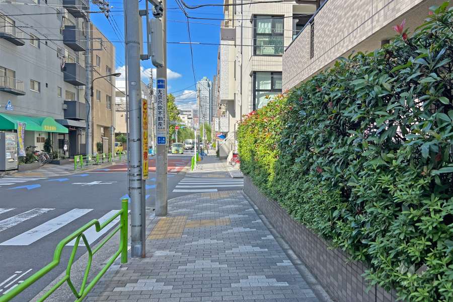 敷地の南西側前面道路（南東側から）