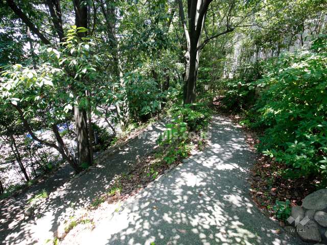 敷地北側の緑地と通路