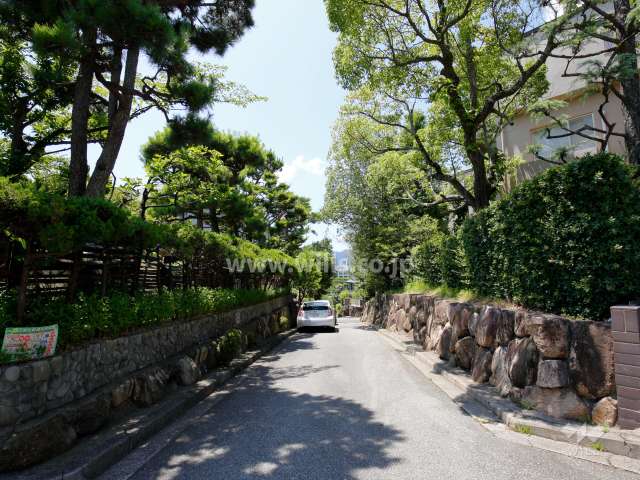 敷地南側の前面道路