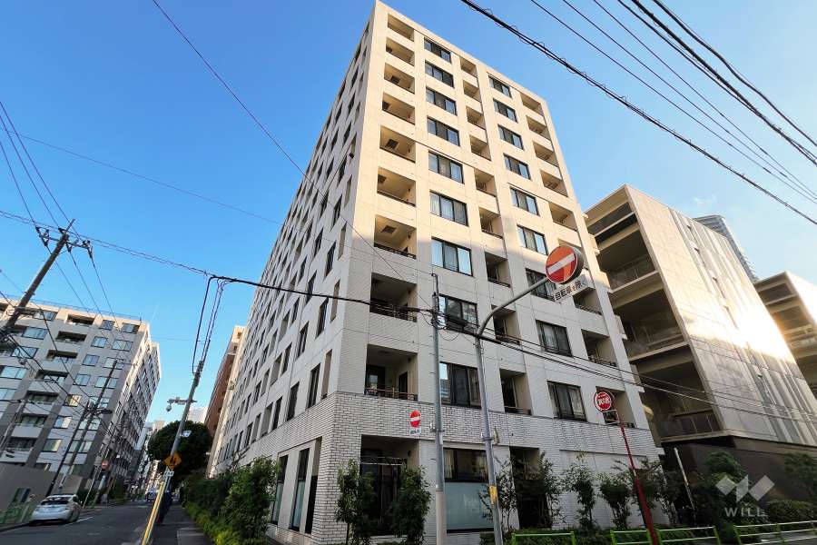 敷地の北東側前面道路（北東側から）