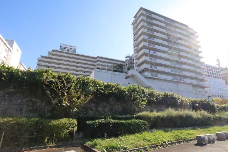 月島ホームズの外観(北側から)