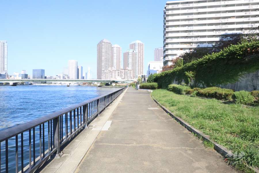 敷地北西側の前面道路