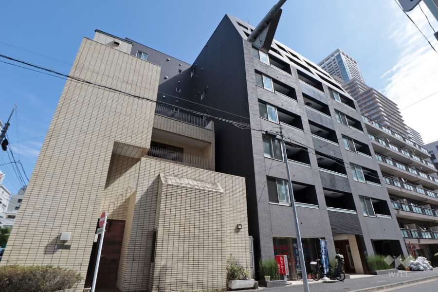 ウィルローズ月島の外観(北西側から)