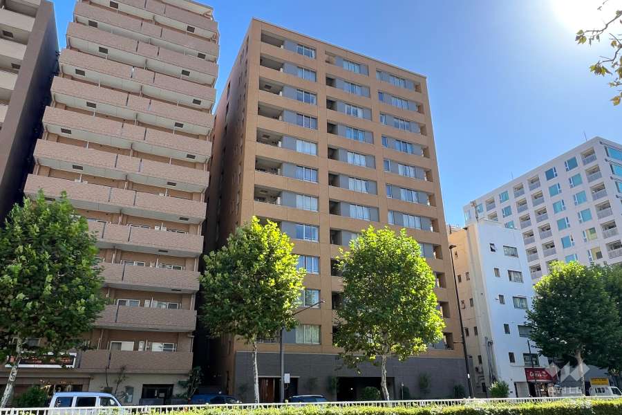 エルステージ月島アトラージュの外観（北側から）