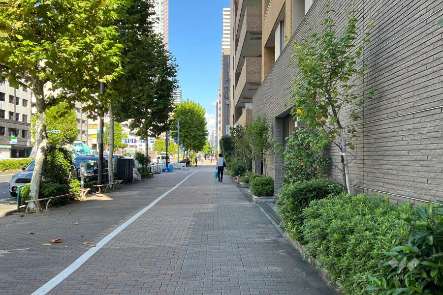 敷地の北西側前面道路（南西側から）