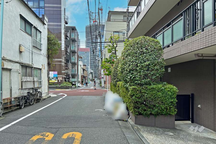 敷地の南東側前面道路（北東側から）