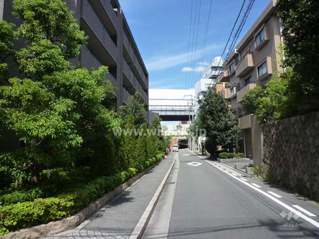 敷地東側の前面道路。周辺は区画の整った住宅地です。