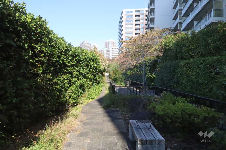 敷地北西側の前面道路